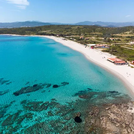 Sea Shell - Klodge *