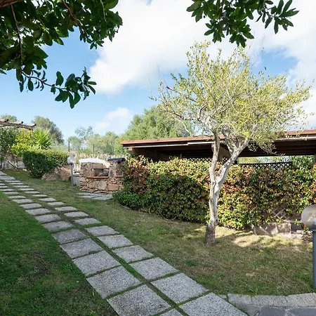 Sea Shell - Klodge * Olbia