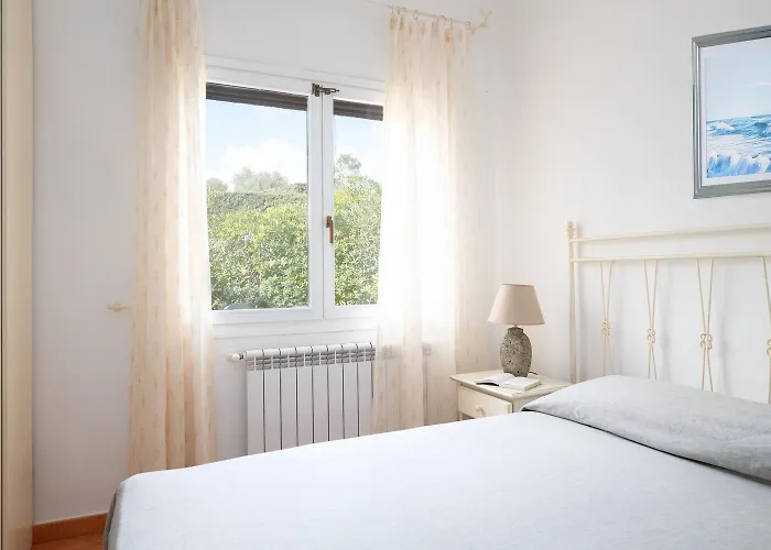 Sea Shell - Klodge *