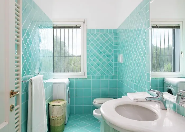 Sea Shell - Klodge Olbia