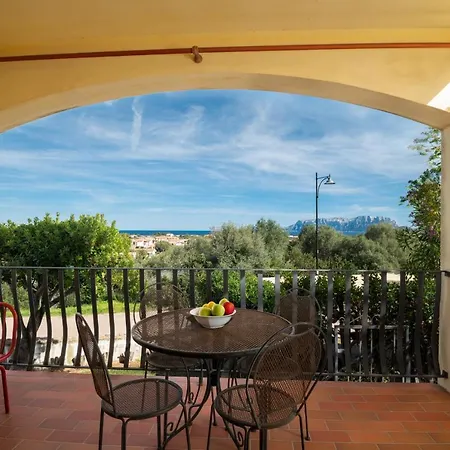 Sea Shell - Klodge Όλμπια