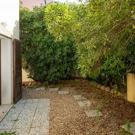 Sea Shell - Klodge *