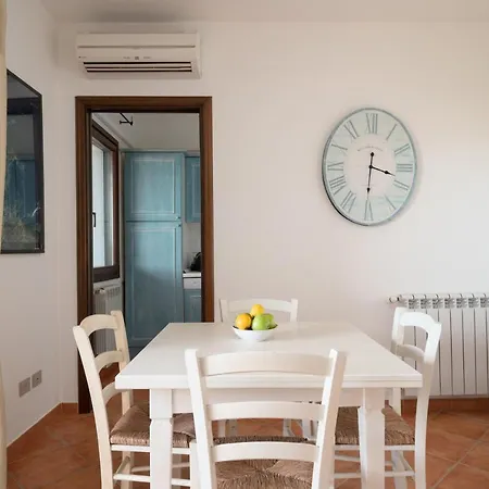 Sea Shell - Klodge *