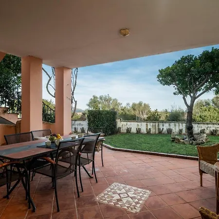 Sea Shell - Klodge *