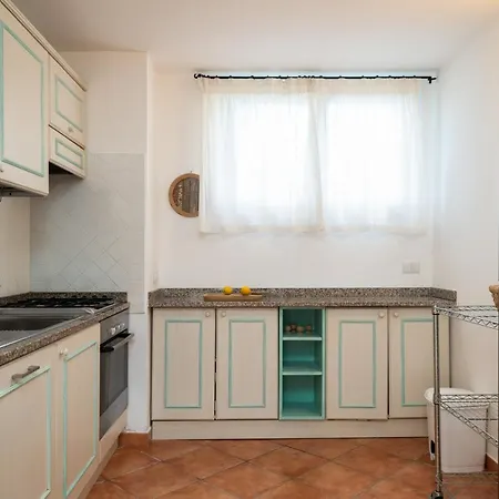 Sea Shell - Klodge *