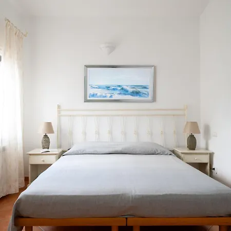 Sea Shell - Klodge * Όλμπια