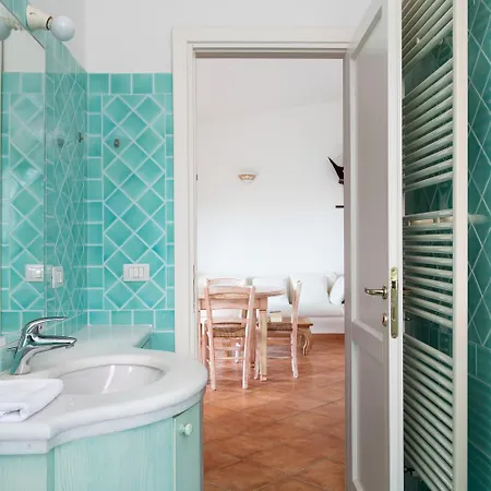 Sea Shell - Klodge أولبيا