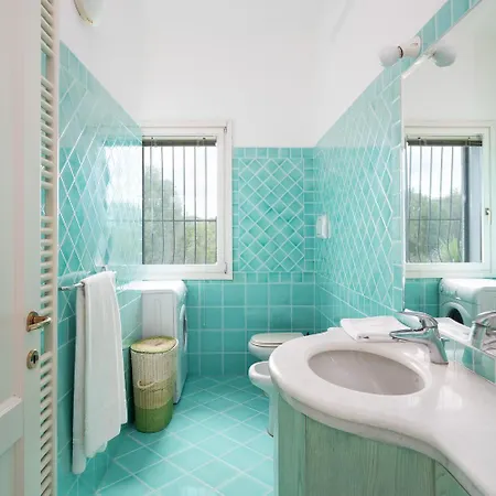 Sea Shell - Klodge أولبيا